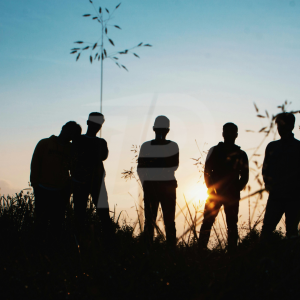 Servicio de asesoría profesional en el área de Responsabilidad Penal del Adolescente